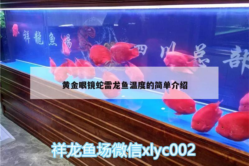 黃金眼鏡蛇雷龍魚溫度的簡單介紹 黃金眼鏡蛇雷龍魚