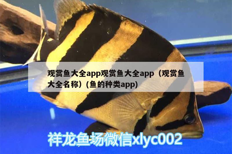 觀賞魚大全app觀賞魚大全app（觀賞魚大全名稱）(魚的種類app) 水族燈（魚缸燈）