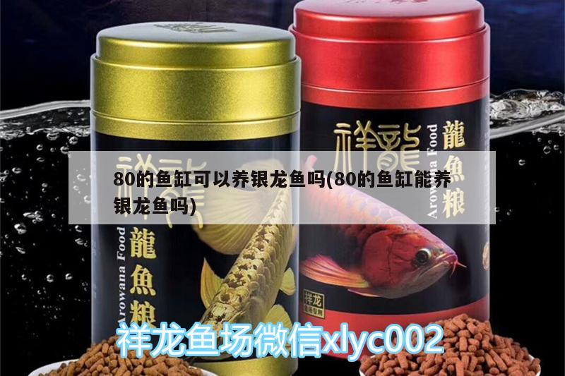 魚缸水怎樣除氯（魚缸水怎樣除氯最有效） 其他品牌魚缸 第2張