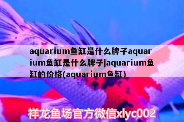 60水草缸一年費用，我想開一個賣魚缸和觀賞魚的店，大概要投資多少錢 水草 第3張