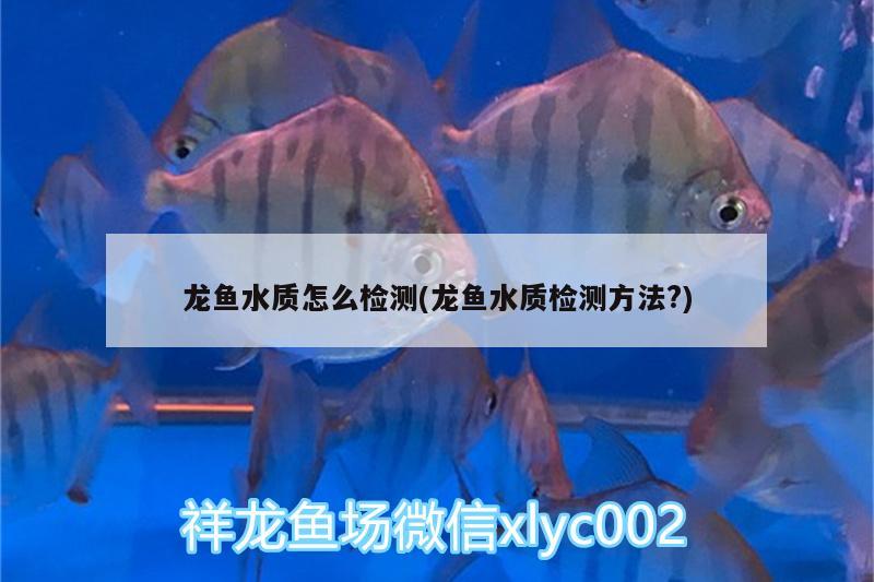 龍魚水質(zhì)怎么檢測(龍魚水質(zhì)檢測方法?)