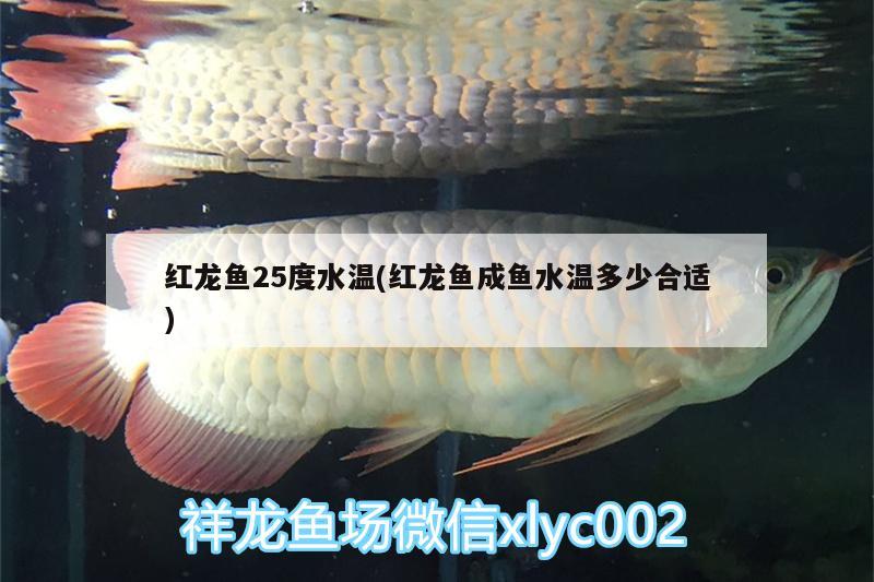 日照觀賞魚協(xié)會官網(wǎng)網(wǎng)址是多少（日照漁業(yè)網(wǎng)） 觀賞魚批發(fā) 第3張