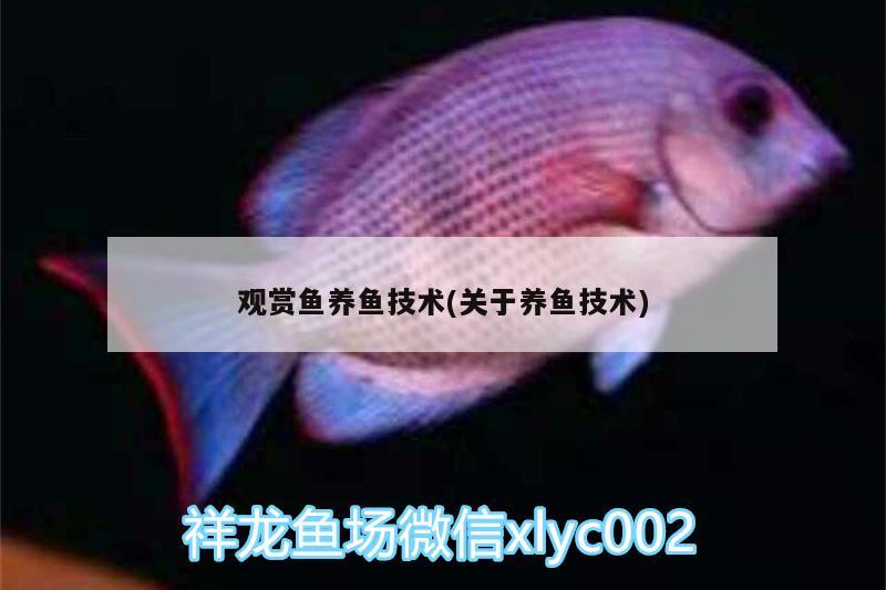 觀賞魚(yú)養(yǎng)魚(yú)技術(shù)(關(guān)于養(yǎng)魚(yú)技術(shù))