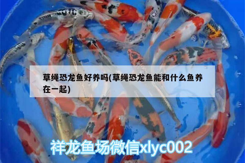 聊城魚(yú)缸廠家直銷(xiāo)店（聊城魚(yú)缸廠家直銷(xiāo)店地址）