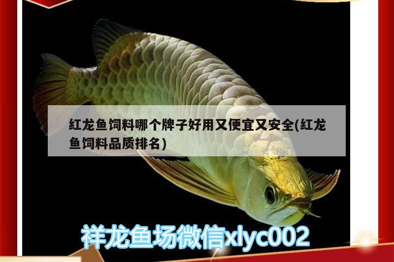 紅龍魚(yú)飼料哪個(gè)牌子好用又便宜又安全(紅龍魚(yú)飼料品質(zhì)排名) 斑馬鴨嘴魚(yú)