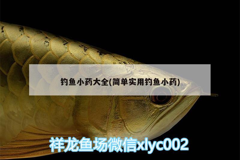 釣魚(yú)小藥大全(簡(jiǎn)單實(shí)用釣魚(yú)小藥) 垂釣樂(lè)園 第2張