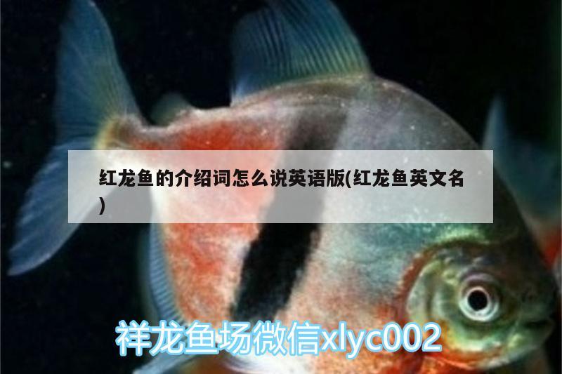 跪求魚的死因 泰龐海鰱魚 第2張