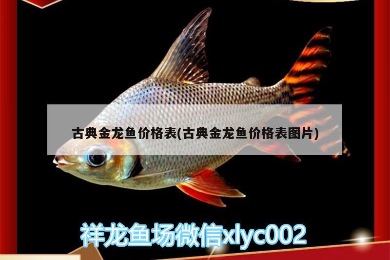 古典金龍魚(yú)價(jià)格表(古典金龍魚(yú)價(jià)格表圖片) 觀賞魚(yú)批發(fā)