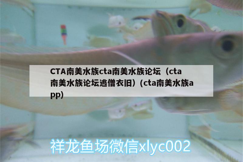 CTA南美水族cta南美水族論壇（cta南美水族論壇逃僧衣舊）(cta南美水族app)