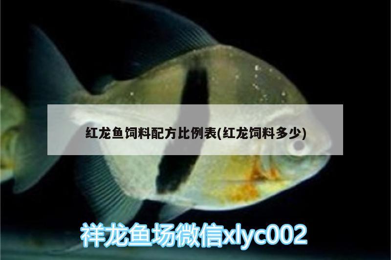 紅龍魚飼料配方比例表(紅龍飼料多少)