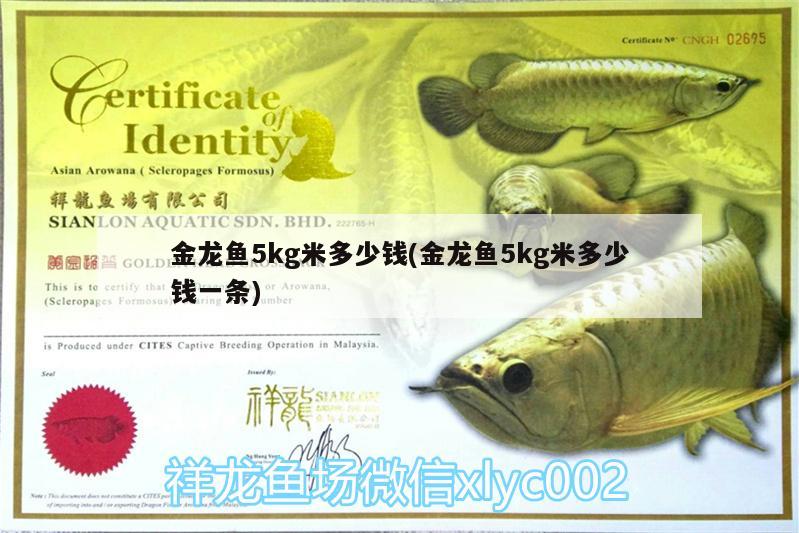 金龍魚5kg米多少錢(金龍魚5kg米多少錢一條)