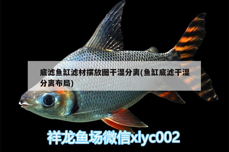 底濾魚缸濾材擺放圖干濕分離(魚缸底濾干濕分離布局) 黑水素