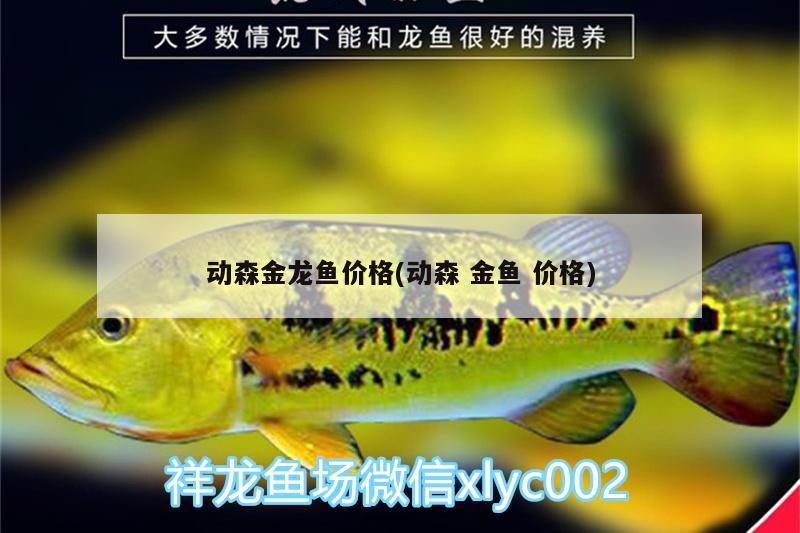 動森金龍魚價格(動森金魚價格) 玫瑰銀版魚