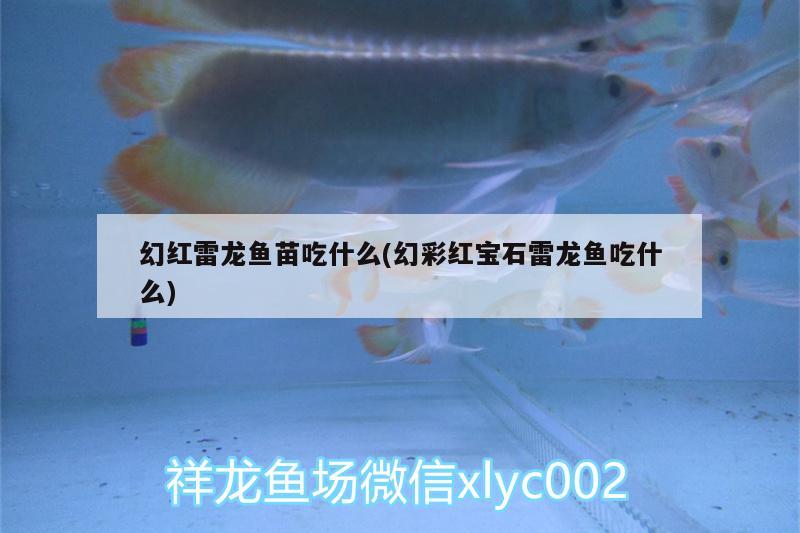 愛家裝飾公司在哪里，新房子裝修污染如何處理 養(yǎng)魚的好處 第1張