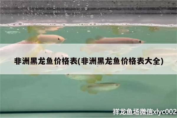 非洲黑龍魚價格表(非洲黑龍魚價格表大全) 白子金龍魚