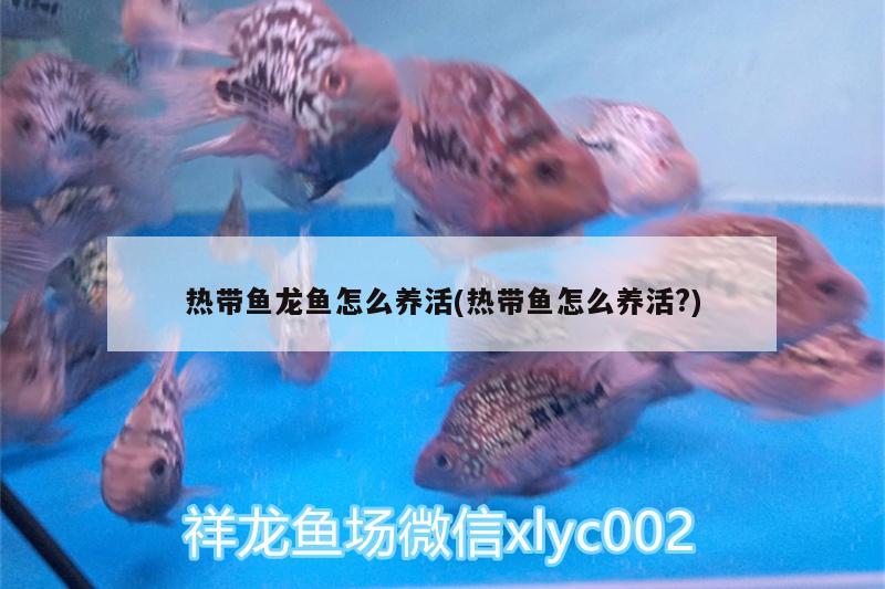 每日一練 養(yǎng)魚的好處 第1張