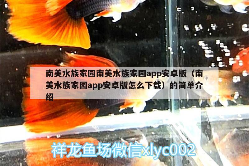 南美水族家園南美水族家園app安卓版（南美水族家園app安卓版怎么下載）的簡單介紹 巴西亞魚