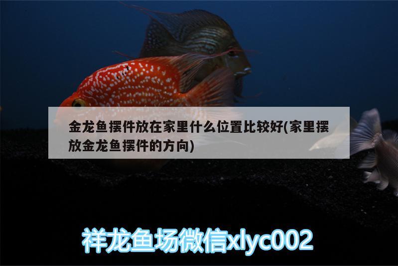 金龍魚擺件放在家里什么位置比較好(家里擺放金龍魚擺件的方向)