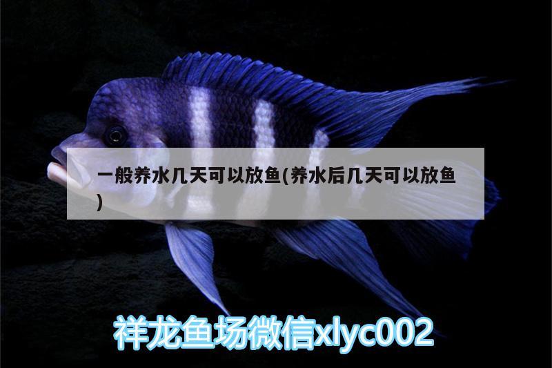 一般養(yǎng)水幾天可以放魚(養(yǎng)水后幾天可以放魚)