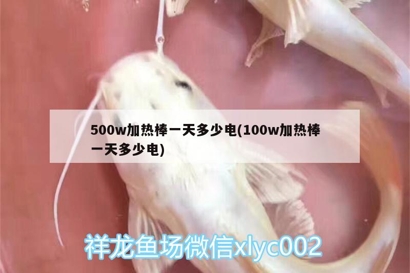 500w加熱棒一天多少電(100w加熱棒一天多少電)