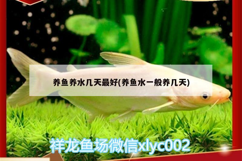 養(yǎng)魚養(yǎng)水幾天最好(養(yǎng)魚水一般養(yǎng)幾天)