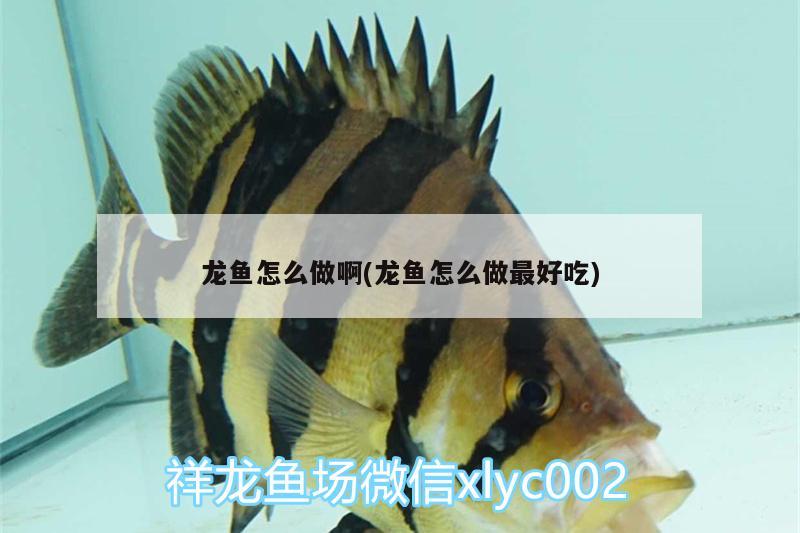 保定魚缸清理服務(wù)電話號碼查詢是多少：保定魚缸批發(fā)市場地址