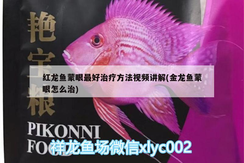 紅龍魚蒙眼最好治療方法視頻講解(金龍魚蒙眼怎么治)