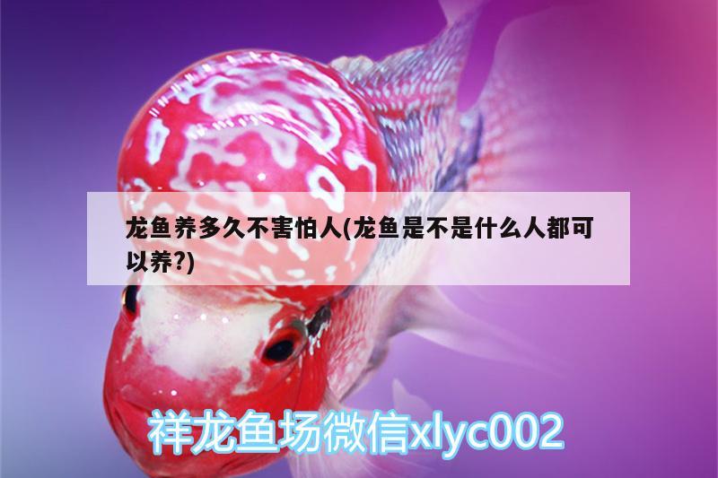 廣東金龍魚銷售部電話號碼(金龍魚總公司電話) 元寶鳳凰魚