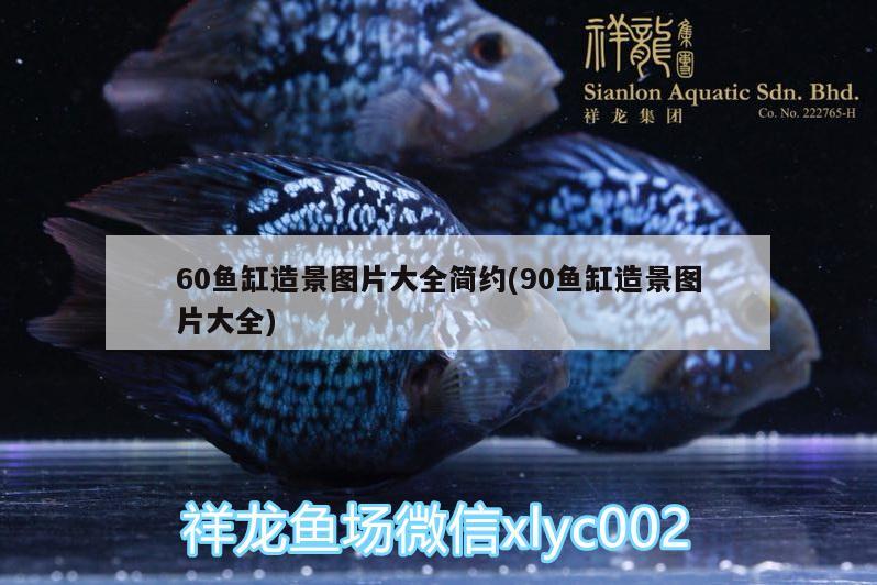 廣州市白云區(qū)三元里七彩寵物用品店 全國水族館企業(yè)名錄 第2張