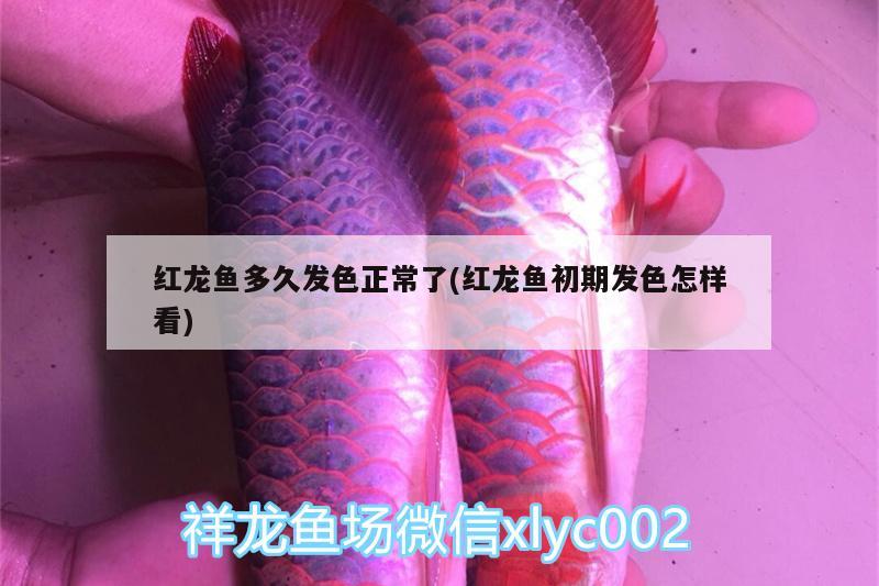 駐馬店魚缸批發(fā)市場在哪里啊多少錢（駐馬店附近的魚都在哪批發(fā)） 其他品牌魚缸