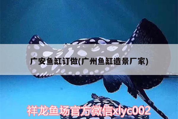 羅漢魚如何分辨品種好壞，三角形的翡翠料子做什么好