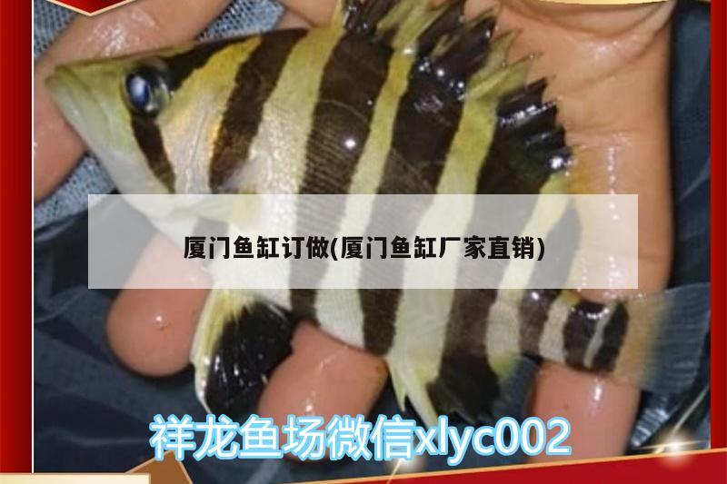 包含潮州魚(yú)缸生產(chǎn)廠家有哪些地方的電話的詞條 黑影道人魚(yú) 第2張