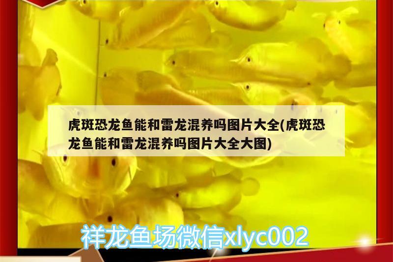 魚缸自制洗沙器視頻教程：diy魚缸洗沙器 自制