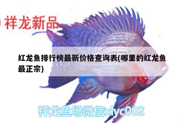 紅龍魚排行榜最新價(jià)格查詢表(哪里的紅龍魚最正宗)