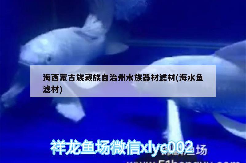 海西蒙古族藏族自治州水族器材濾材(海水魚(yú)濾材)