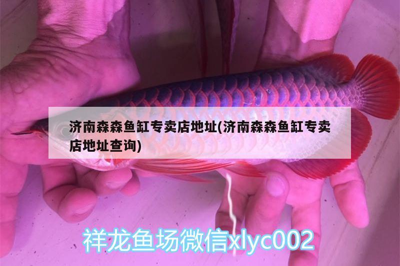 魚缸部件名稱圖解大全 魚缸部件名稱圖解大全集 巴卡雷龍魚 第2張