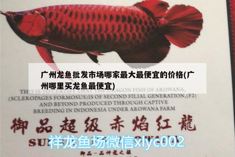 小半年沒發(fā)魚了今天換830記錄一下