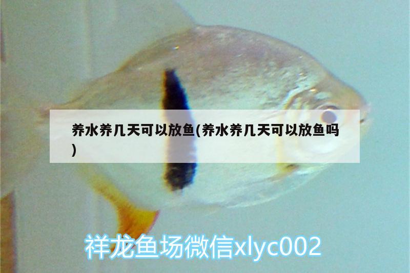 養(yǎng)水養(yǎng)幾天可以放魚(養(yǎng)水養(yǎng)幾天可以放魚嗎)