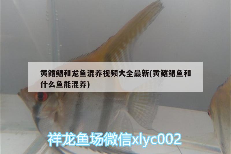 用過上濾的魚友看過來