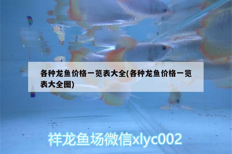 各種龍魚價格一覽表大全(各種龍魚價格一覽表大全圖)