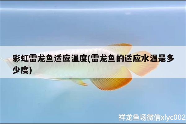 魚缸放太陽下有啥好處：魚缸在太陽下行不行