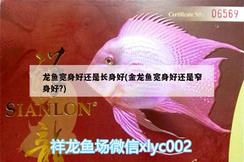 魚缸放太陽下有啥好處：魚缸在太陽下行不行