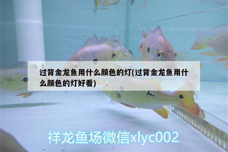 森森魚缸好嗎，森森水族箱怎么樣