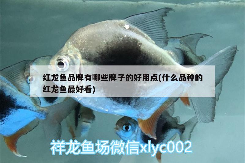 家用魚缸氧氣泵的安裝方法視頻：魚缸氧氣泵的組裝