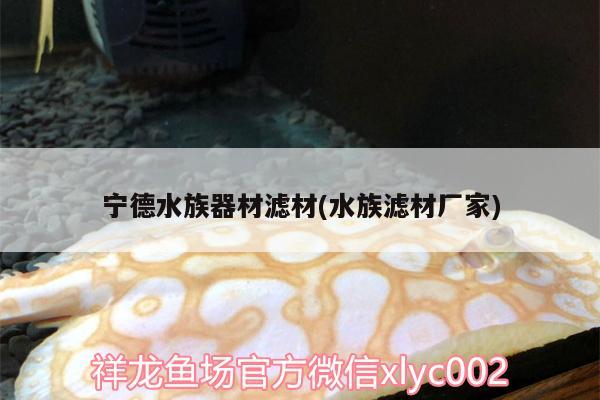 寧德水族器材濾材(水族濾材廠(chǎng)家)