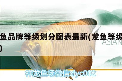 龍魚燈什么品牌的好用：龍魚燈什么品牌的好用又實(shí)惠