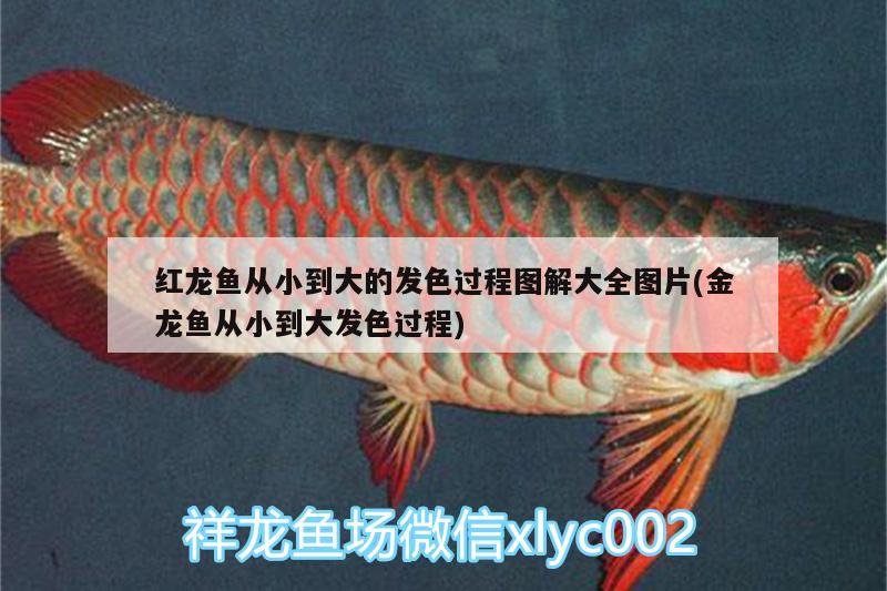 陽臺做魚缸風(fēng)水好不好看：陽臺做魚缸效果圖大全 魚缸風(fēng)水 第3張