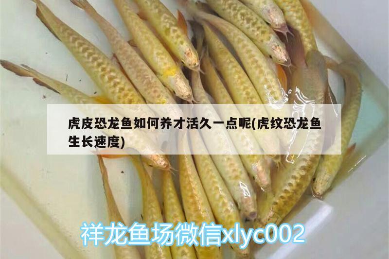 請問這魚會過背嗎