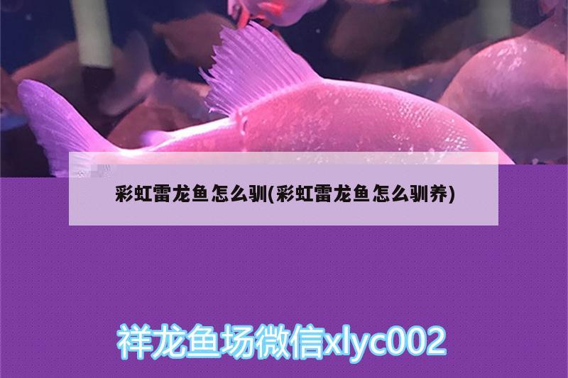 魚缸怎么就不生青苔（魚缸怎么不生青苔呢） 其他品牌魚缸 第3張