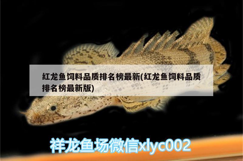 琉金金魚價(jià)格：琉金魚為什么不建議養(yǎng) 觀賞魚 第1張